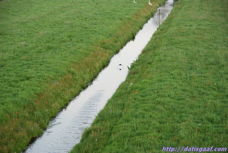 Copyright © DatisGaaf.com